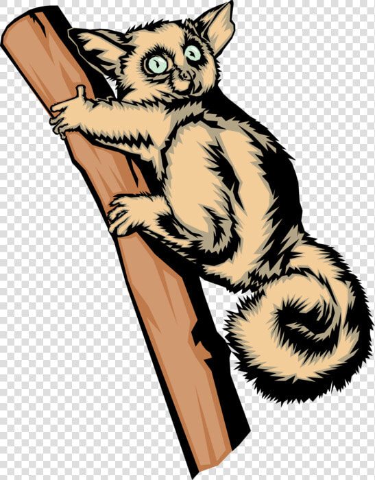 Vector Illustration Of Bright Eyed And Bushy Tailed   Kitten  HD Png DownloadTransparent PNG