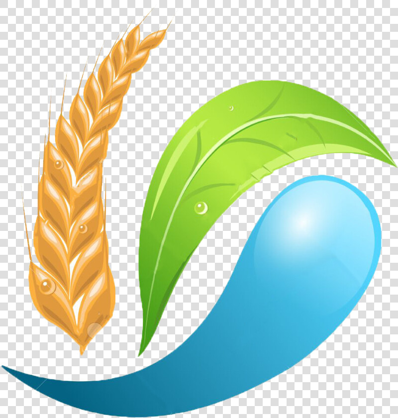 Logo Clip Art Wheat   Logo Design Agriculture Company Logo Png  Transparent PngTransparent PNG