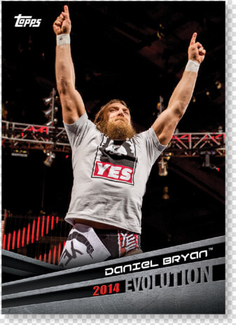 2018 Topps Wwe Daniel Bryan Evolution Poster   Poster  HD Png DownloadTransparent PNG