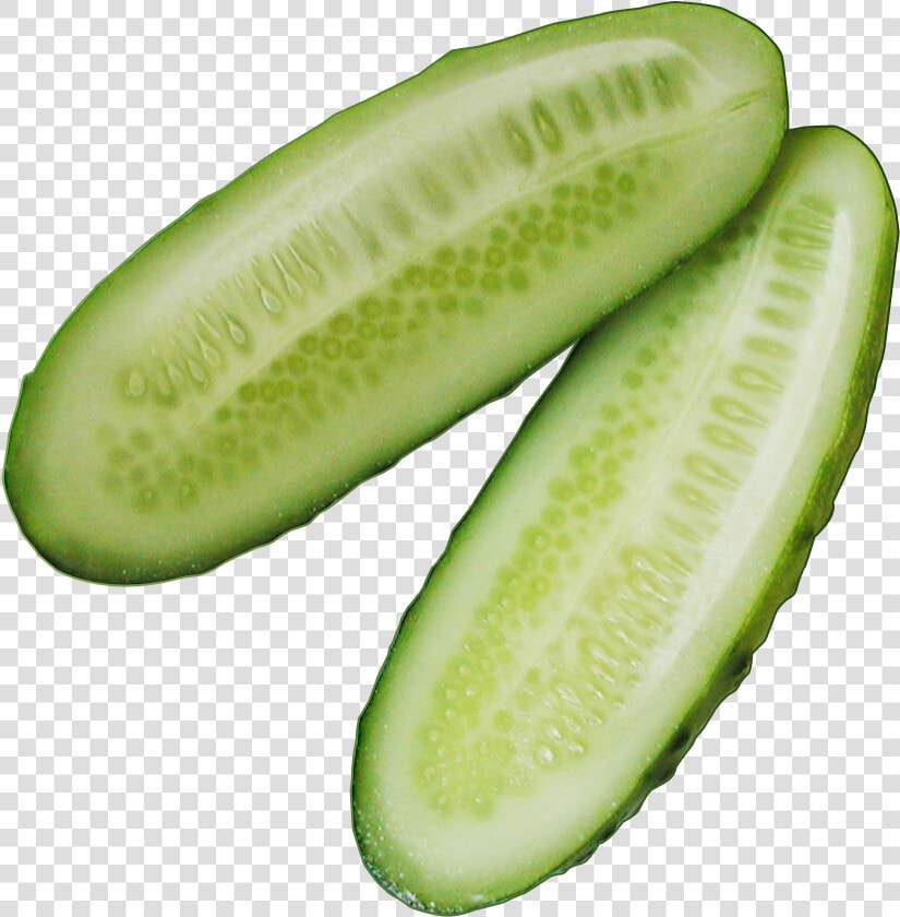 Pickles Slice Png  Transparent PngTransparent PNG