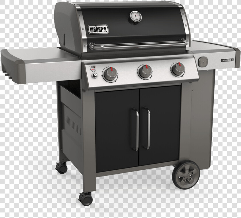 E 315   Weber Genesis Ii E 315  HD Png DownloadTransparent PNG