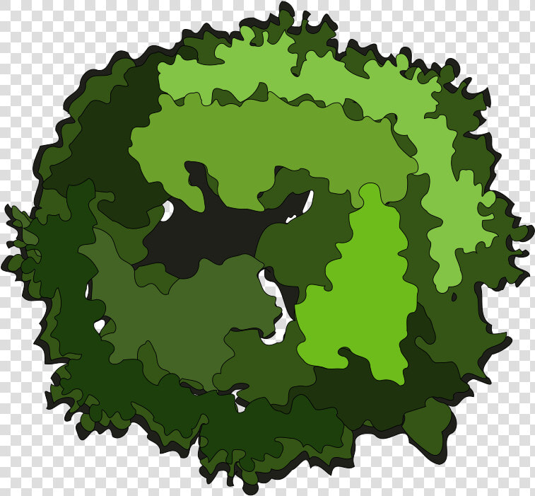 Tree Top View Clipart   Cartoon Tree Top View Png  Transparent PngTransparent PNG