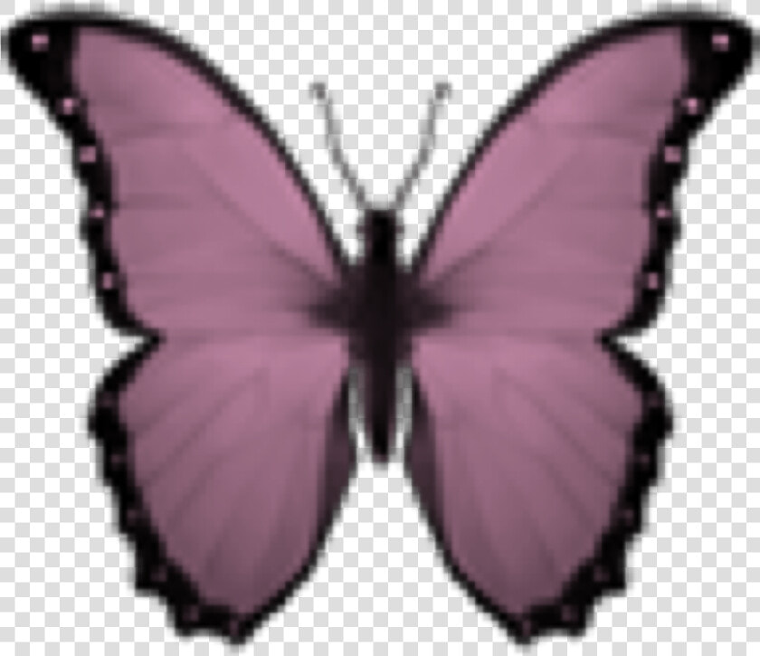  butterfly  kelebek  emoji  smiley  kelebekler  pink   Iphone Butterfly Emoji  HD Png DownloadTransparent PNG