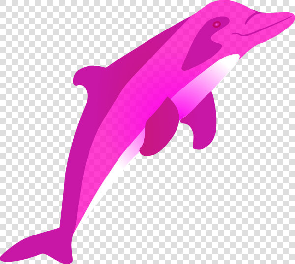 Pink Dolphin Clipart   River Dolphin Transparent Background  HD Png DownloadTransparent PNG