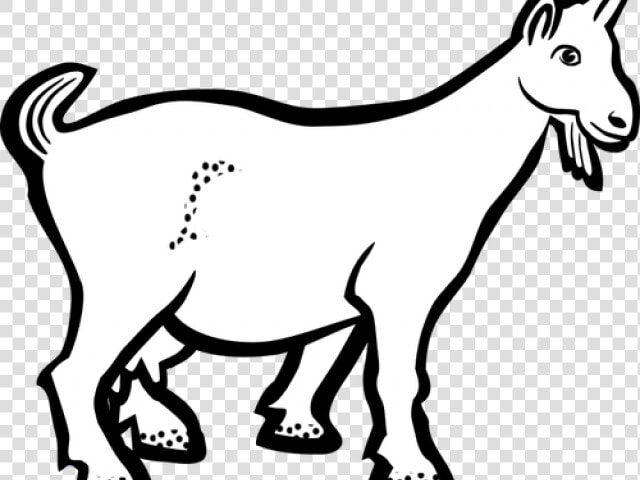 Transparent Goat Clipart Black And White   Goat Lineart  HD Png DownloadTransparent PNG