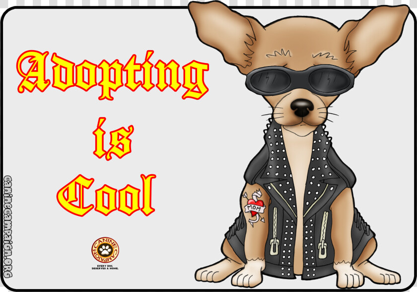 Chihuahua  HD Png DownloadTransparent PNG