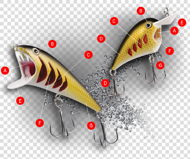 Pirana Fishing Lure Features  HD Png DownloadTransparent PNG