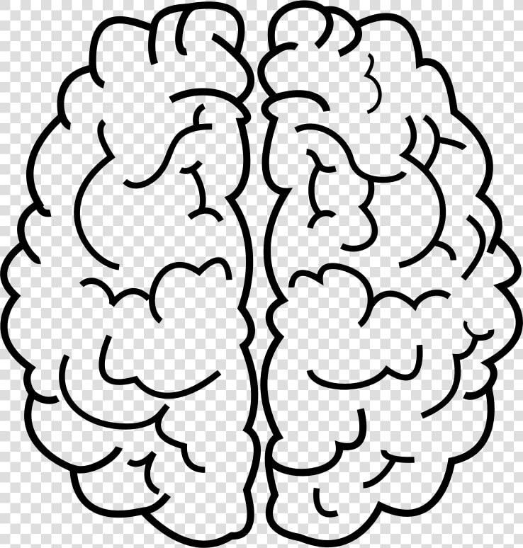 Clipart Brain Imagination   Brain Lineart  HD Png DownloadTransparent PNG