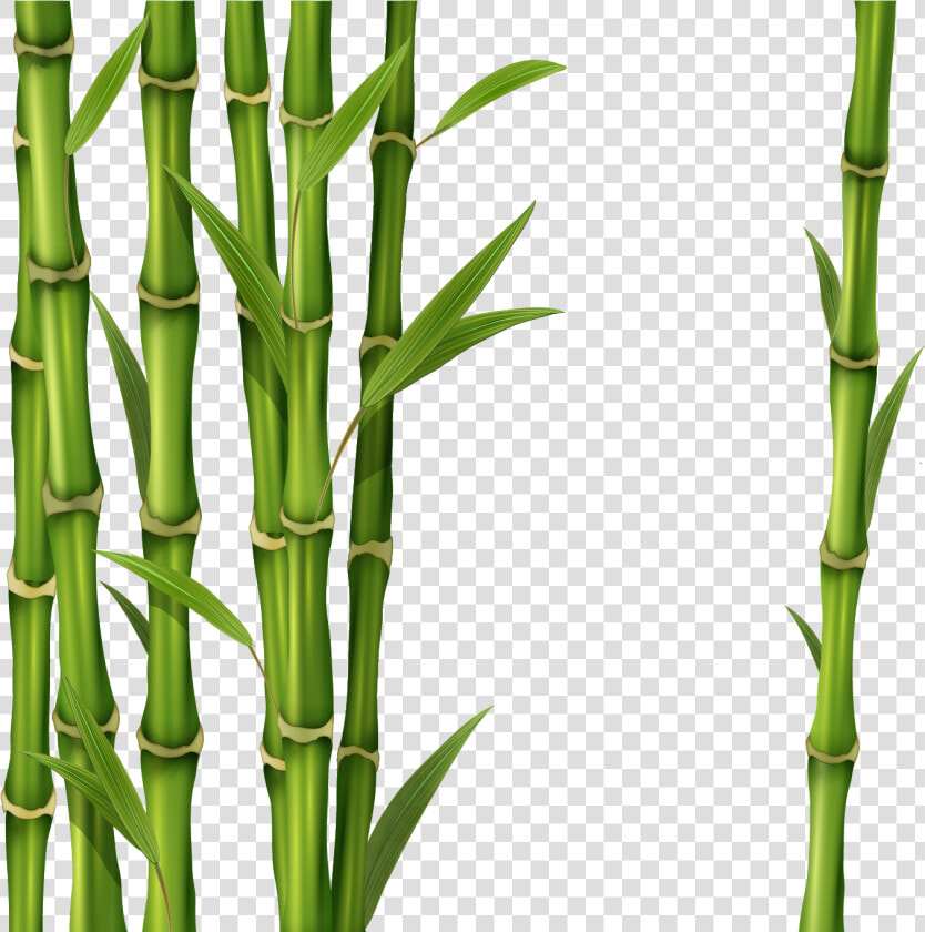 Bamboo Png   Green Bamboo Stick Png  Transparent PngTransparent PNG