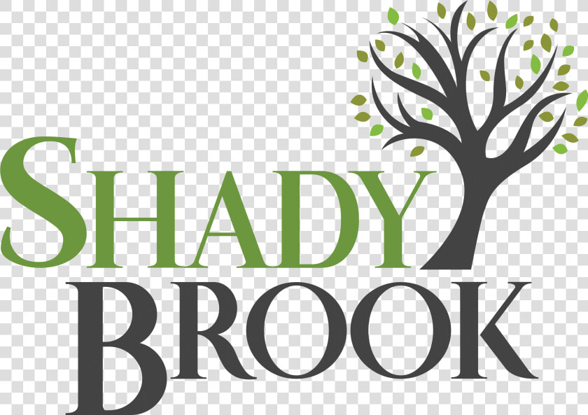 Shady Brook Logo   Tree  HD Png DownloadTransparent PNG