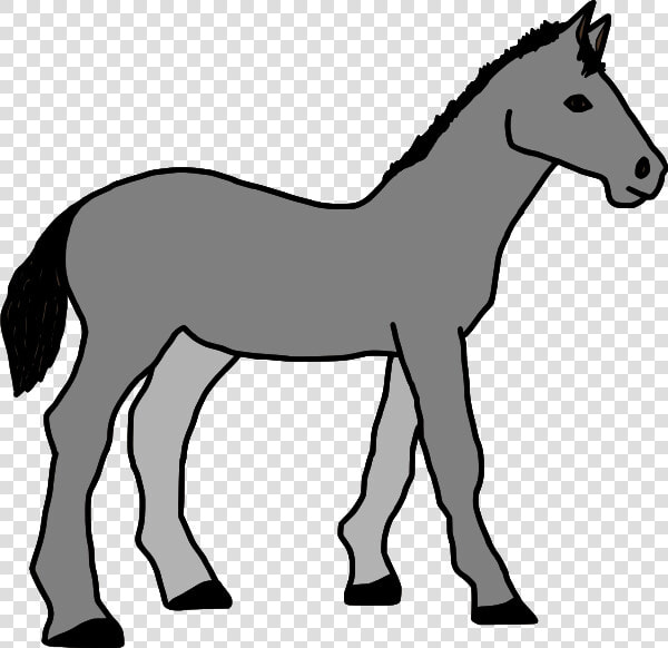 Foal Clipart  HD Png DownloadTransparent PNG