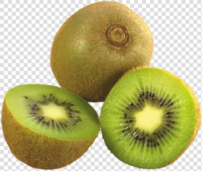 Now You Can Download Kiwi Icon Clipart   Kiwi Fruit Png  Transparent PngTransparent PNG