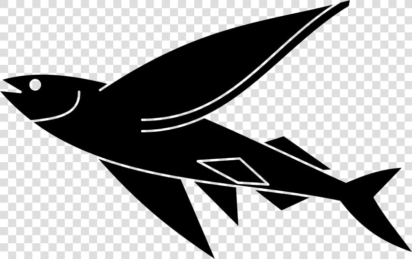 Flying Fish   Flying Fish Clip Art  HD Png DownloadTransparent PNG