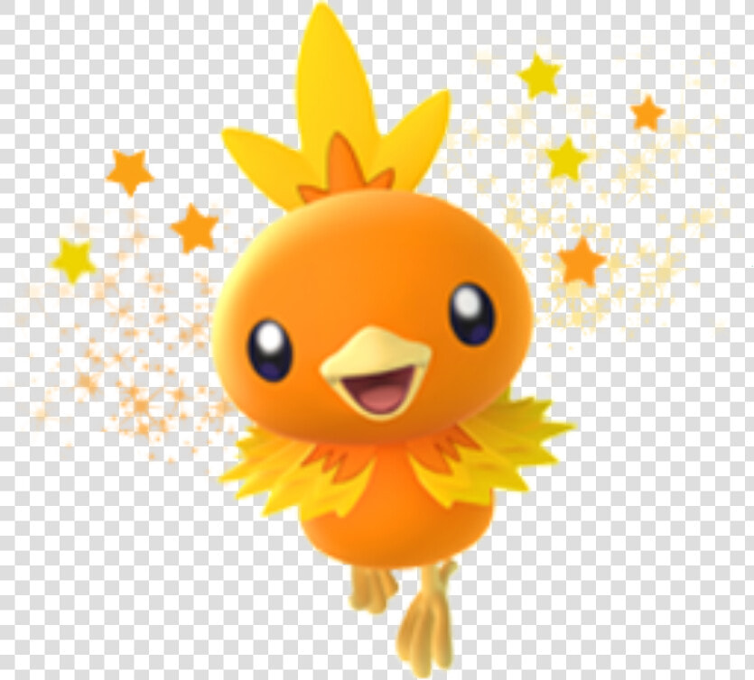  torchic  pokemonsticker  pokemongo  pokemon  pogo  HD Png DownloadTransparent PNG