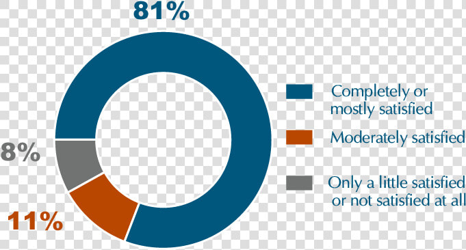 Pie Chart Showing That 81 Percent Of Respondents Were   Circle  HD Png DownloadTransparent PNG