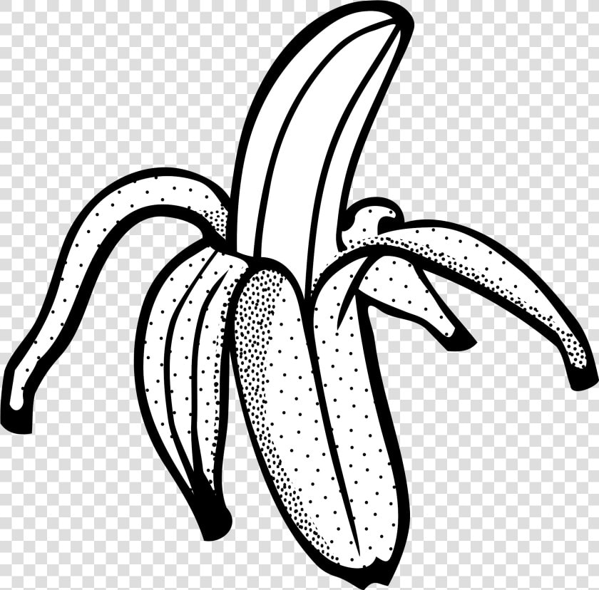 Banana Svg Clip Art   Line Drawing Of Banana  HD Png DownloadTransparent PNG