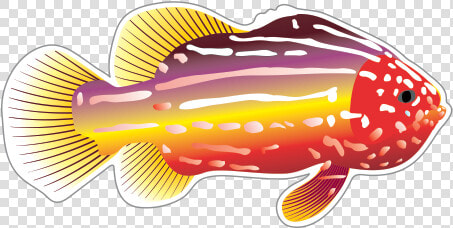 Fish Drawing Clip Art   Transparent Background Fish Swimming Gif  HD Png DownloadTransparent PNG