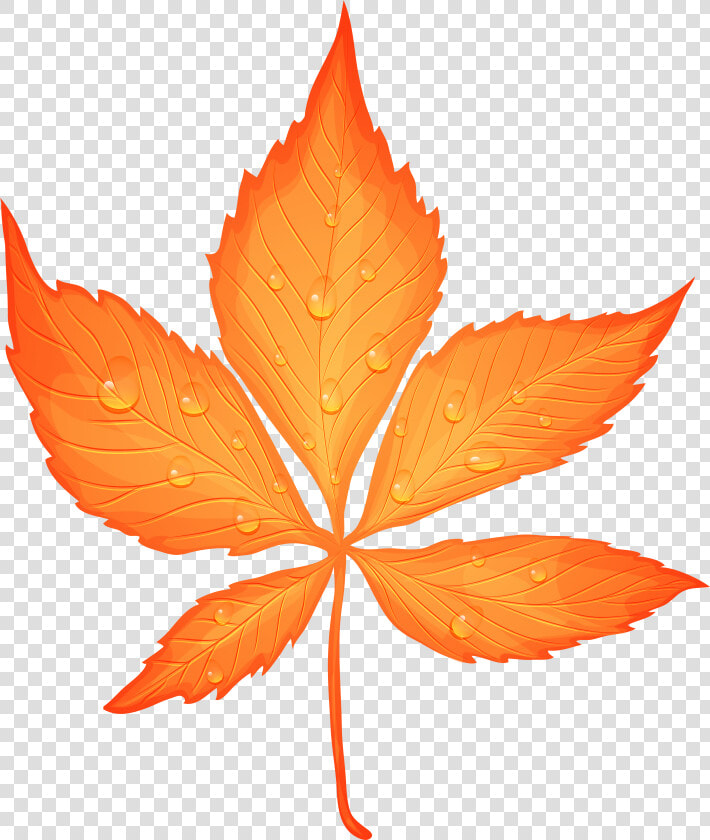 Transparent Autumn Leaf Leaf Png   Png Download   Yellow Fall Leaf Clip Art  Png DownloadTransparent PNG