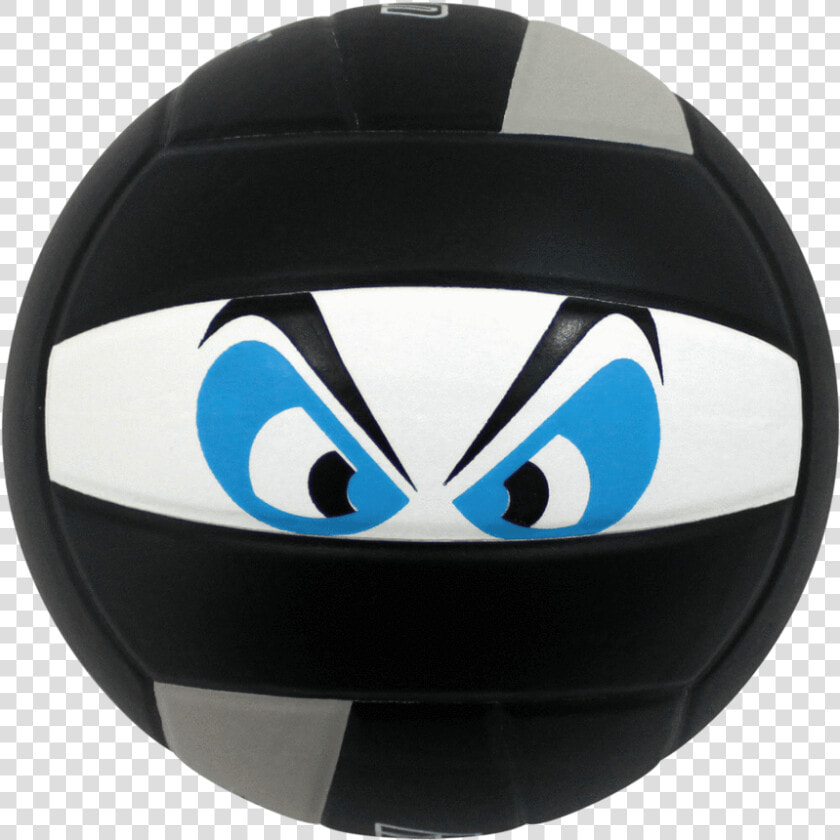 Custom Perfection Volleyball Class Lazyload Fade   Much Are Customized Baden Volleyballs  HD Png DownloadTransparent PNG