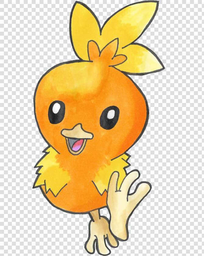 Today I Was Deciding Between Torchic And Piplup  HD Png DownloadTransparent PNG