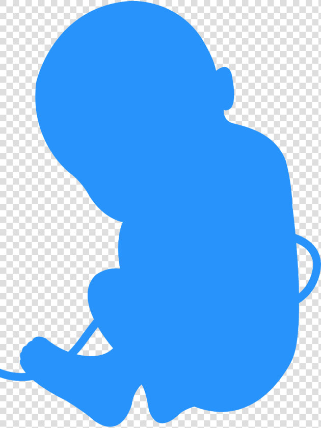 Fetus Silhouette  HD Png DownloadTransparent PNG