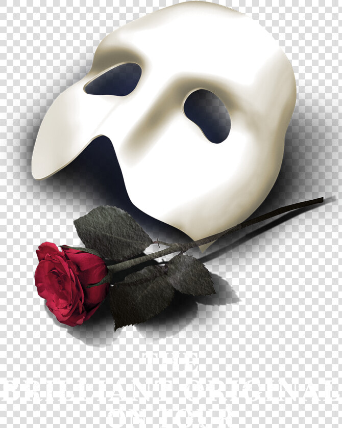 Rose Phantom Of The Opera Mask  HD Png DownloadTransparent PNG