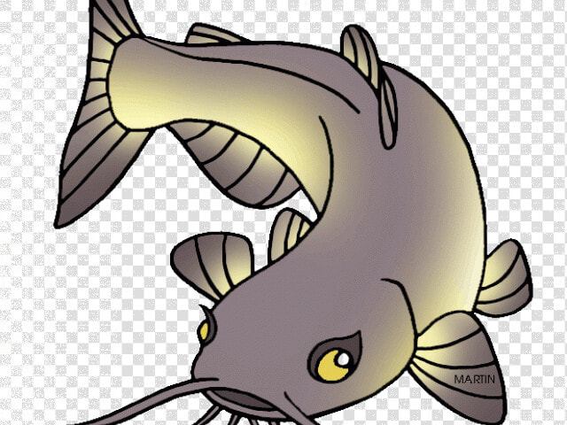 School Fish Cliparts Free   Catfish Clip Art  HD Png DownloadTransparent PNG