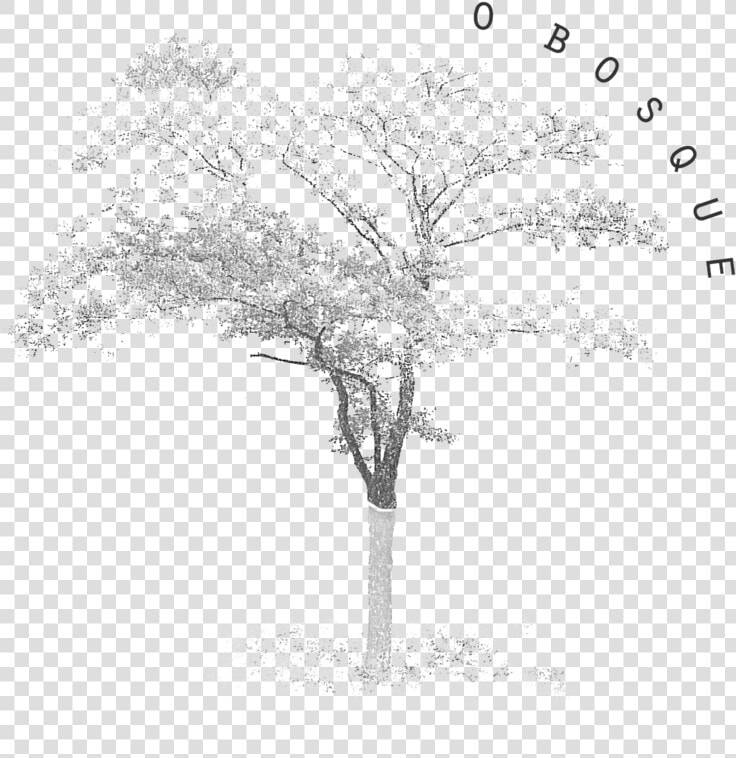 O Bosque 04  HD Png DownloadTransparent PNG