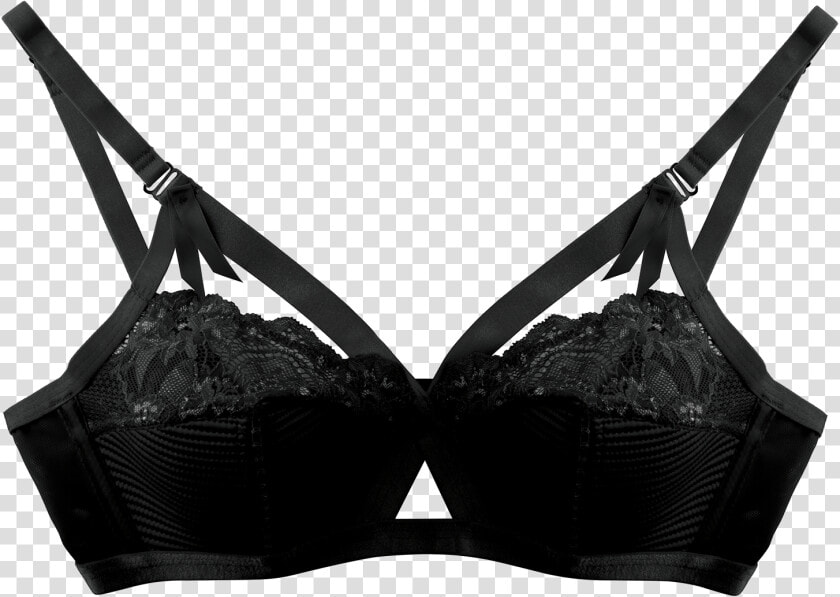 Reveal Your Inner Seductress With The Dita Von Teese   Bra  HD Png DownloadTransparent PNG