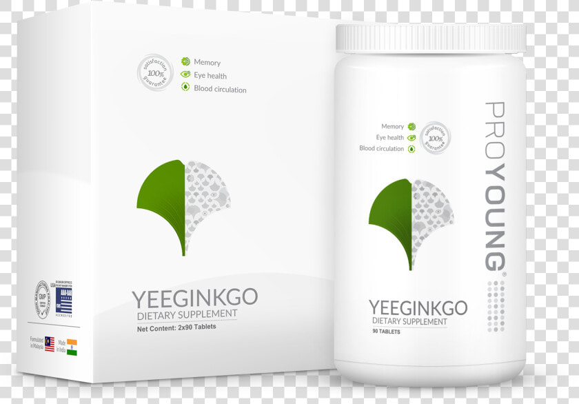 Yeeginkgo Brain Body Coordinator   Proyoung Yeeginkgo  HD Png DownloadTransparent PNG