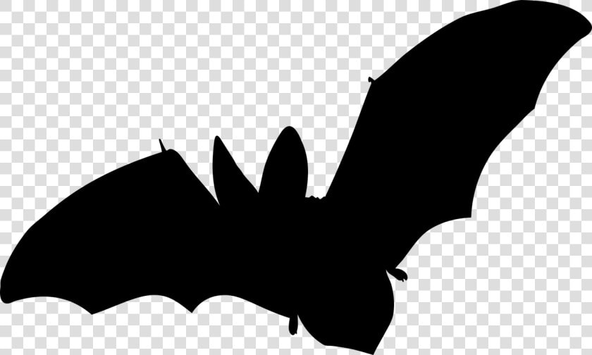 Bat  Mammal  Flying  No Background  Vector   Fledermaus Aufkleber  HD Png DownloadTransparent PNG