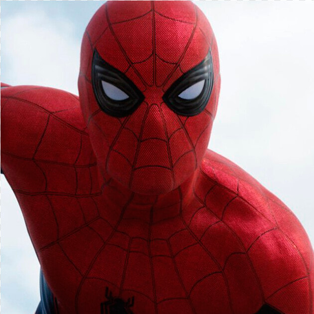 Homem Aranha Png  Transparent PngTransparent PNG