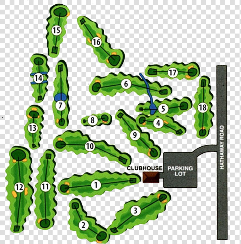 18 Hole Championship Golf Course   Whale Golf Course New Bedford  HD Png DownloadTransparent PNG