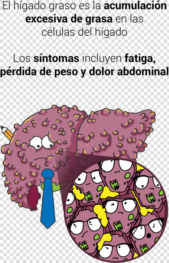 Transparent Higado Png   Cartoon  Png DownloadTransparent PNG