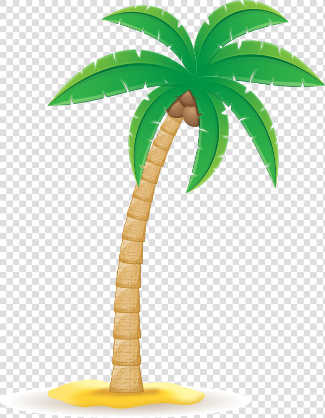 Coconut Arecaceae Clip Art   Clip Art Coconut Tree Png  Transparent PngTransparent PNG