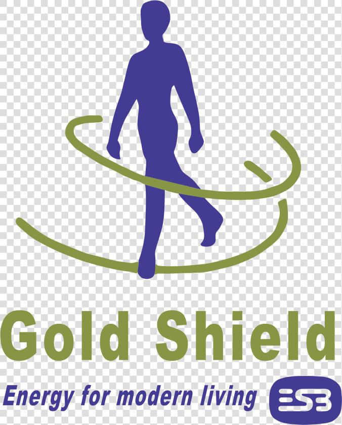 Gold Shield Logo Png Transparent   Shield  Png DownloadTransparent PNG