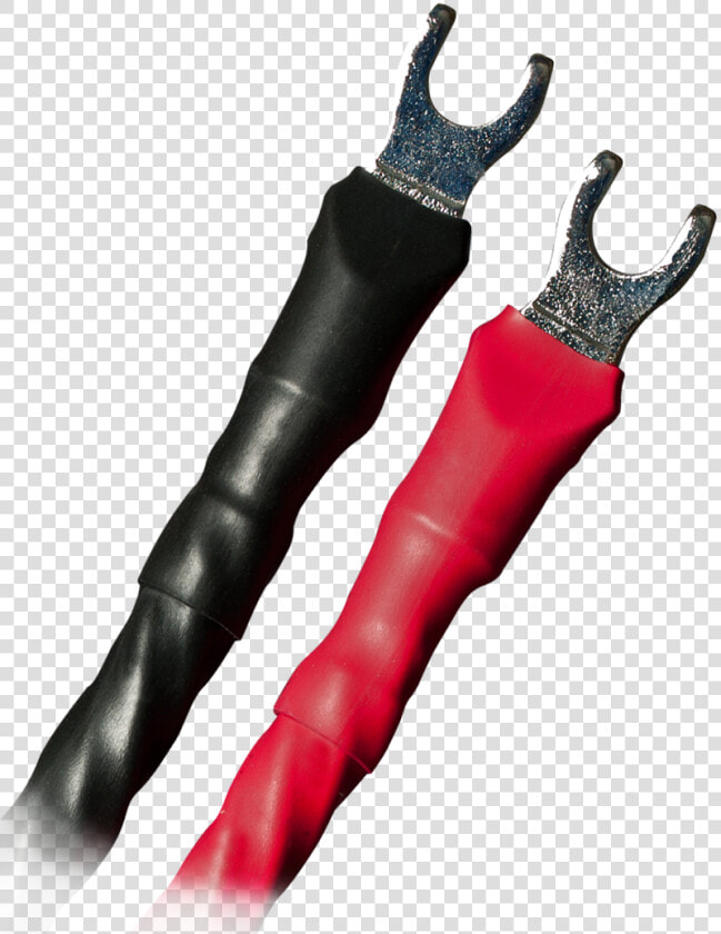 Tights  HD Png DownloadTransparent PNG