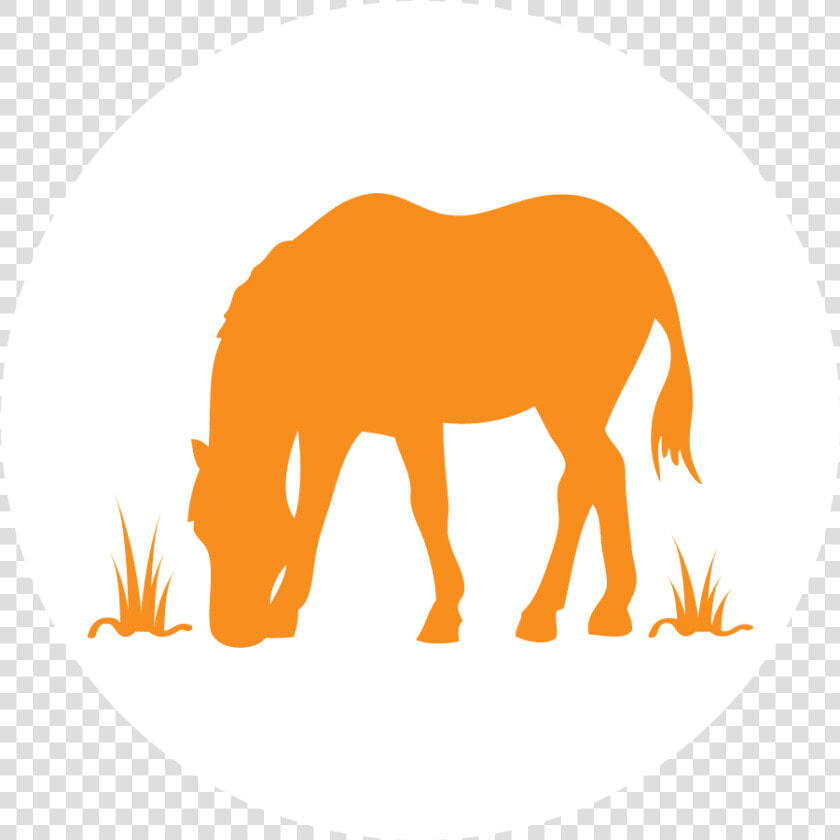 Horse  amp  Farm Committee Icon   Down Steal This Album  HD Png DownloadTransparent PNG