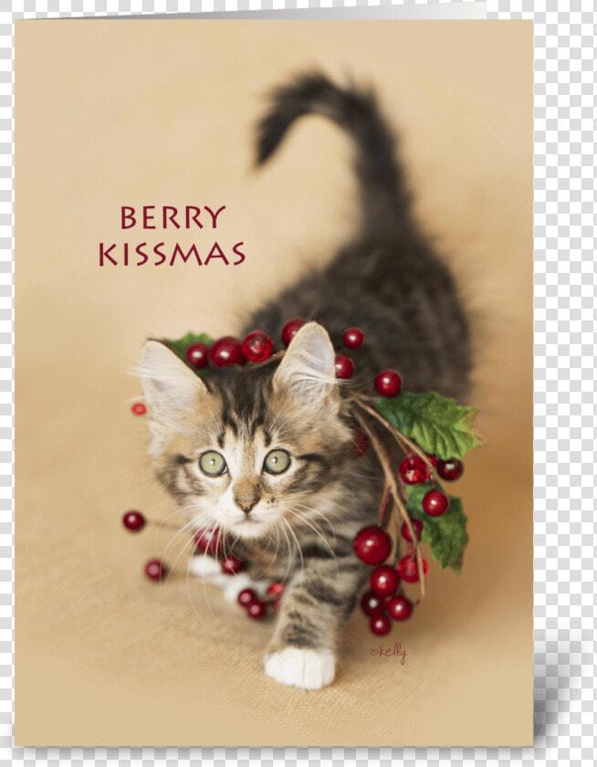 Berry Kissmas Christmas Kitten Greeting Card   Kitten  HD Png DownloadTransparent PNG