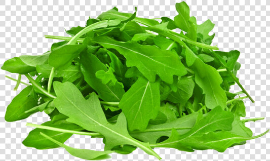 Arugula With White Background  HD Png DownloadTransparent PNG