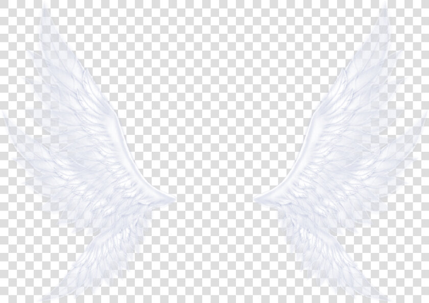  wings  angel  dreamy  neon  blingbling  lighting  colorful   Pigeons And Doves  HD Png DownloadTransparent PNG