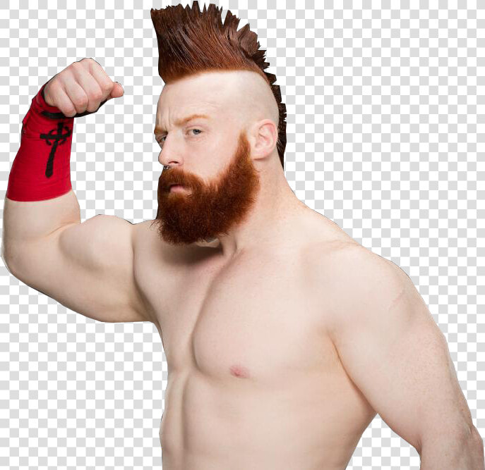 Sheamus Free Png Image   Sheamus Png 2019  Transparent PngTransparent PNG