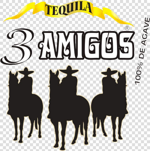 Three Amigos   Tequila 3 Amigos Logo Png  Transparent PngTransparent PNG