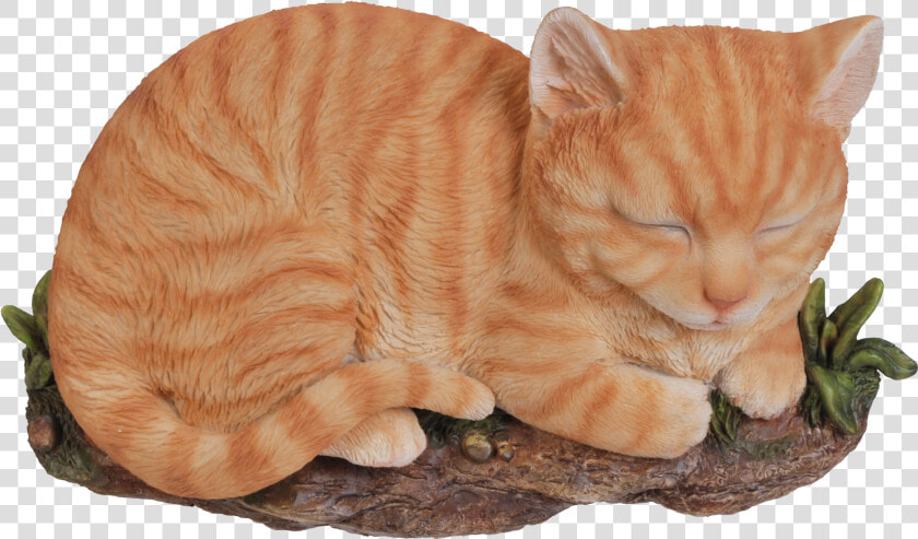 Rl Sleeping Cat Ginger B   Tabby Cat  HD Png DownloadTransparent PNG