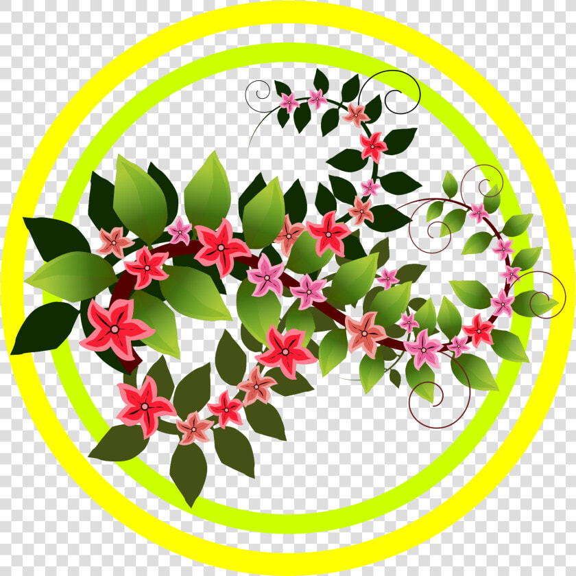 Transparent Flower Branch Png   Rosa Glauca  Png DownloadTransparent PNG