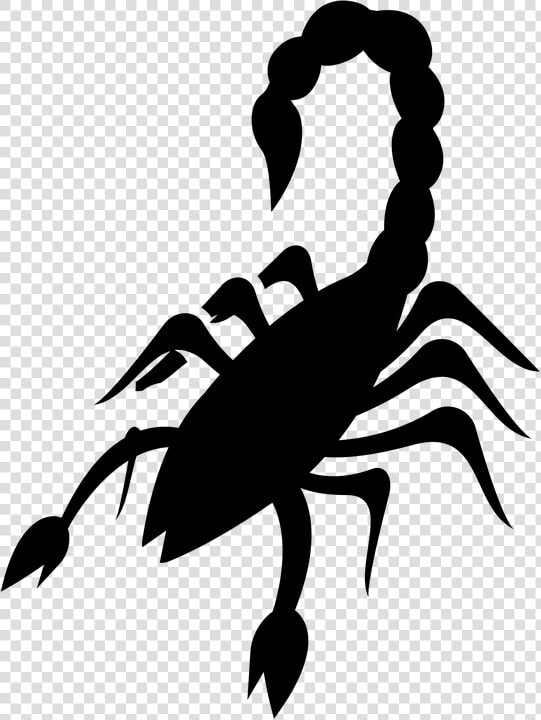 Scorpio  Reptile  Arachnid  Scorpion  Wildlife  Exotic  HD Png DownloadTransparent PNG