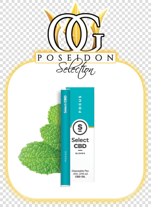 Focus Peppermint Vape Pen   Para Que Sirve Select  HD Png DownloadTransparent PNG