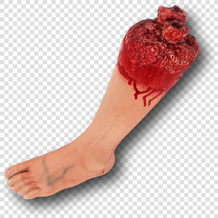 Bloody Severed Fake Latex Arm Arms Leg Legs Foot Feet  HD Png DownloadTransparent PNG