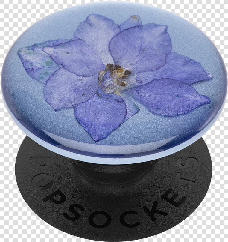 Pop Socket Pressed Flower  HD Png DownloadTransparent PNG