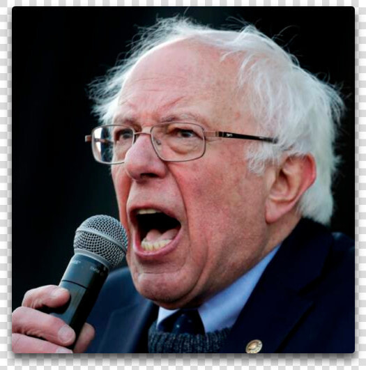 Socialist Bernie   Bernie Sanders Ugly  HD Png DownloadTransparent PNG